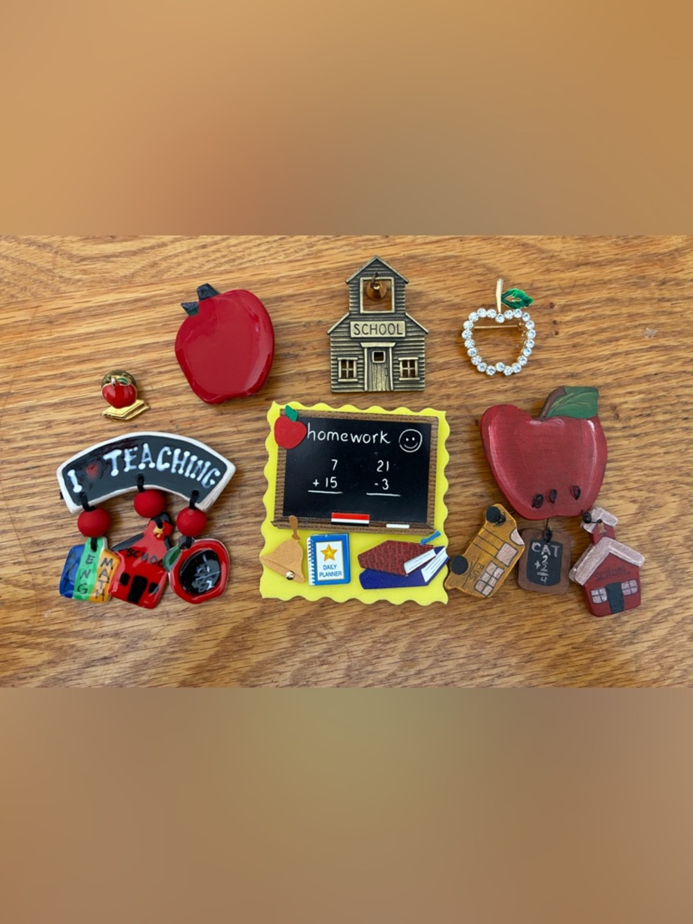 Teacher/Educator Brooches (lot of 7)